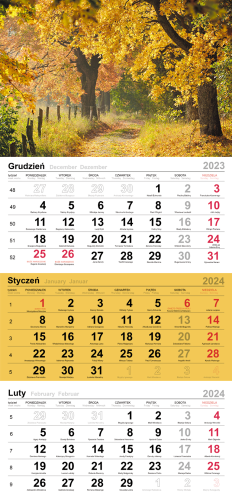 t-106t-terminarz-trojdzielny-2.10_f.png