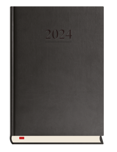 t-203v-terminarz-menadzera.1_f.png