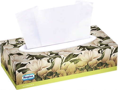 CHUSTECZKI HIGIENICZNE REGINA BOX/100 HARMONIA