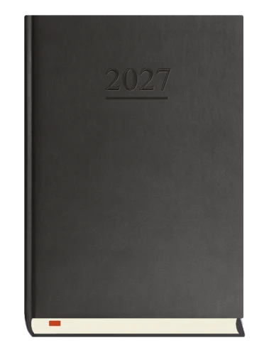 KALENDARZ-MENEDŻERA/T-203V/MICHALCZYK            