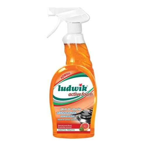 LUDWIK PŁYN W SPRAY'U DO ZATŁUSZCZONYCH POWIERZCHNI 750 ML